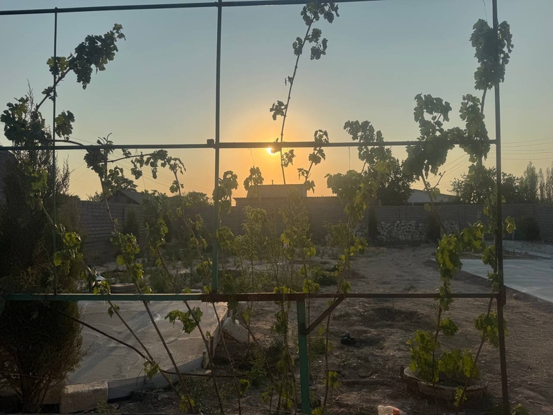 Продается дача в стороне Ташморя - Изображение #3, Объявление #1750360