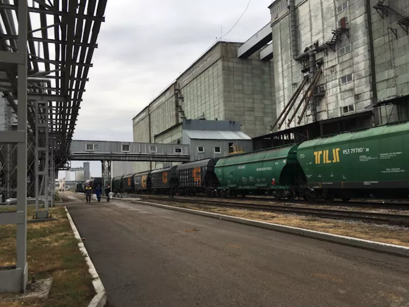 Высококачественное подсолнечное масло оптом от производителя - Изображение #2, Объявление #1753046