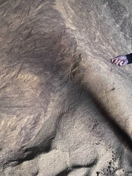 Шрот Рапс - Изображение #1, Объявление #1752937