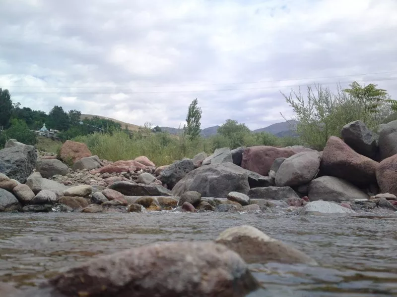 Продается дача в экологически чистой горной зоне Кумушкан Паркентский район - Изображение #3, Объявление #1753146